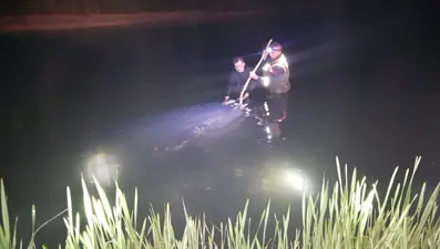 Van'da 21 ton inci kefali ele geçirildi