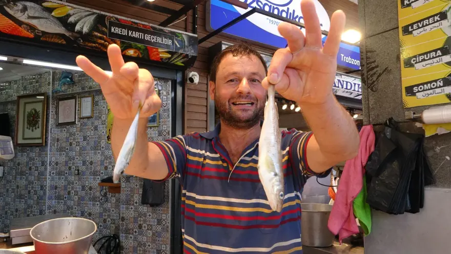 Av yasağı bitti, palamutun fiyatı düştü 5