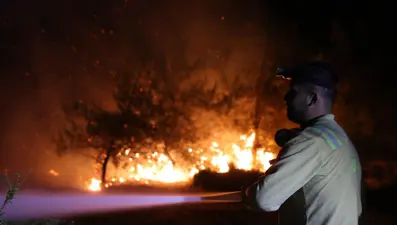 DMM'den, "Orman Yangınları ile İlgili İddialar ve Gerçekler" bülteni