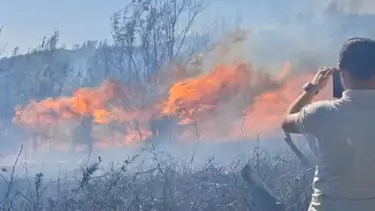 Çanakkale’de tarım arazisinde çıkan yangın ormana sıçradı