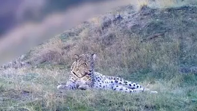 "Yüce dağların gizli kahramanı"ndan yeni görüntü