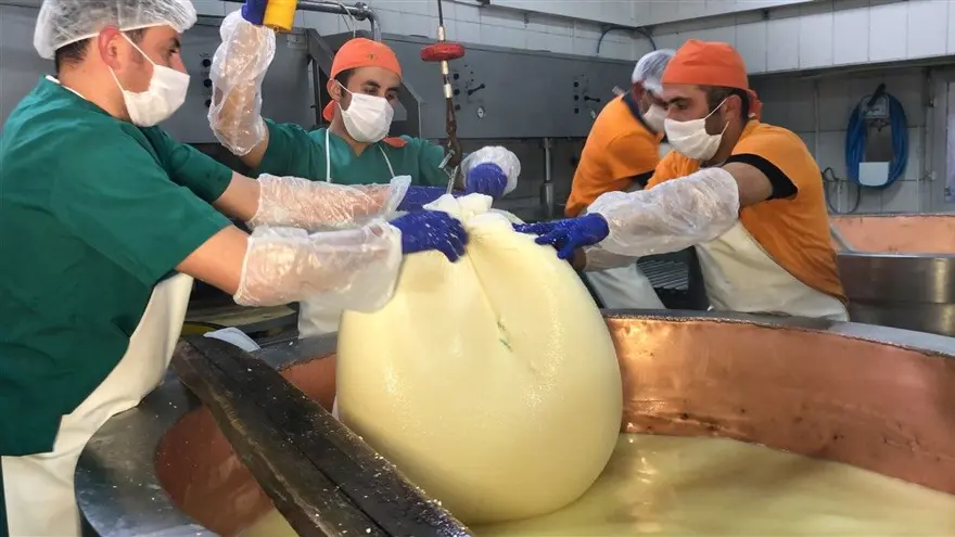Kars'ta dünyaca ünlü gravyer peynirinin üretimine başlandı 6