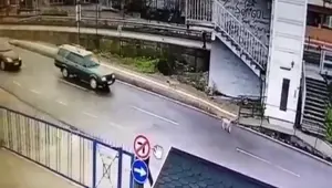 Yavru köpeği ezip yoluna devam etti