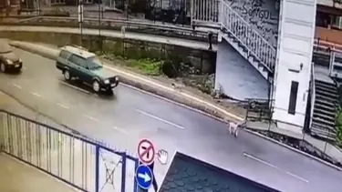 Yavru köpeği ezip yoluna devam etti