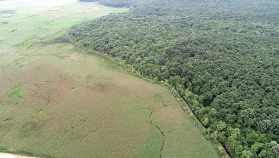 Trakya'nın saklı cenneti 'İğneada' ziyaretçilerini bekliyor: Üstelik İstanbul'a 3 saat uzaklıkta