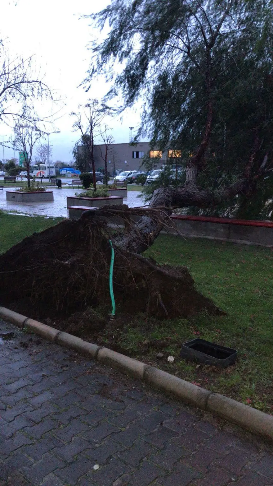 İzmir'de fırtına: Deniz taştı, işyerlerini su bastı 20