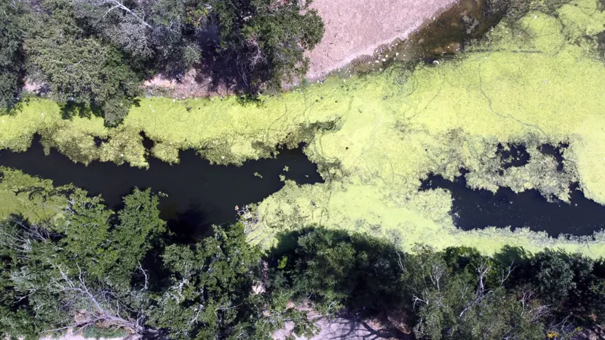 Meriç Nehri'nde kritik seviye aşıldı 12