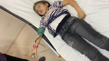 Müdür yardımcısının bahçede beslediği köpekler öğrenciye saldırdı