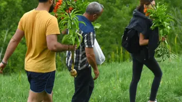 Ters laleleri toplayanlara 180 bin lira idari para cezası