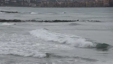 Tekirdağ'da deniz ulaşımına poyraz engeli