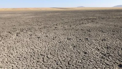 Kuyucuk Gölü Kuş Cenneti tamamen kurudu