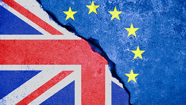 İngiliz bakandan Brexit'e ilişkin Türkiye örneği