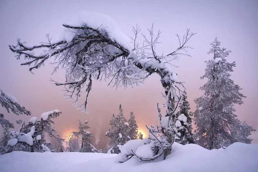 Doğanın muhteşem güzellikleri 23 Doğanın muhteşem güzellikleri 23