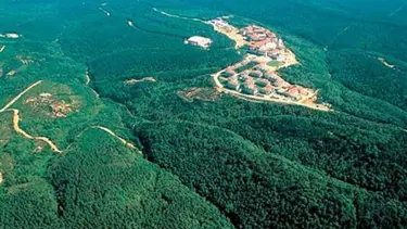 2-B'ye 'yüzde 50' ayarı