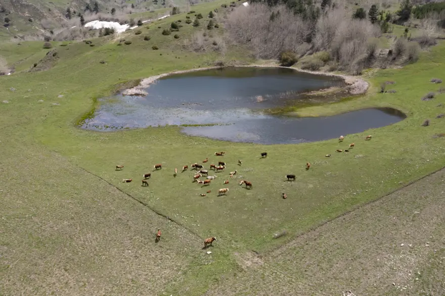 Erzurum'un ilçeleri ilkbahar güzelliğiyle fotoğraf tutkunlarını ağırlıyor 13