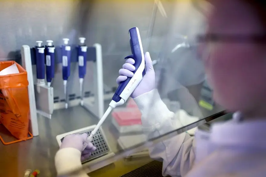 Bilim insanları yeni pandeminin kaynağını ve tarihini açıkladı: Covid-19'dan daha ölümcül olacak 9 Bilim insanları yeni pandeminin kaynağını ve tarihini açıkladı: Covid-19'dan daha ölümcül olacak 9