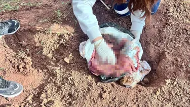 Bebeğini iple boğarak öldürmüştü: İki kişi tutuklandı