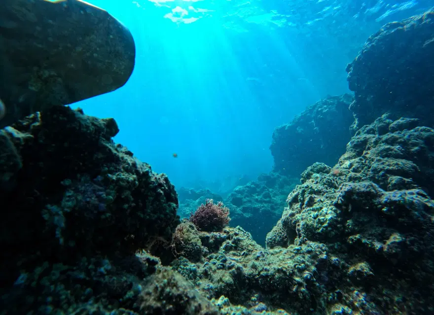 Fotoğraf tutkunu dalgıçlar, Mersin kıyılarındaki su altı kanyonlarını görüntülüyor 13