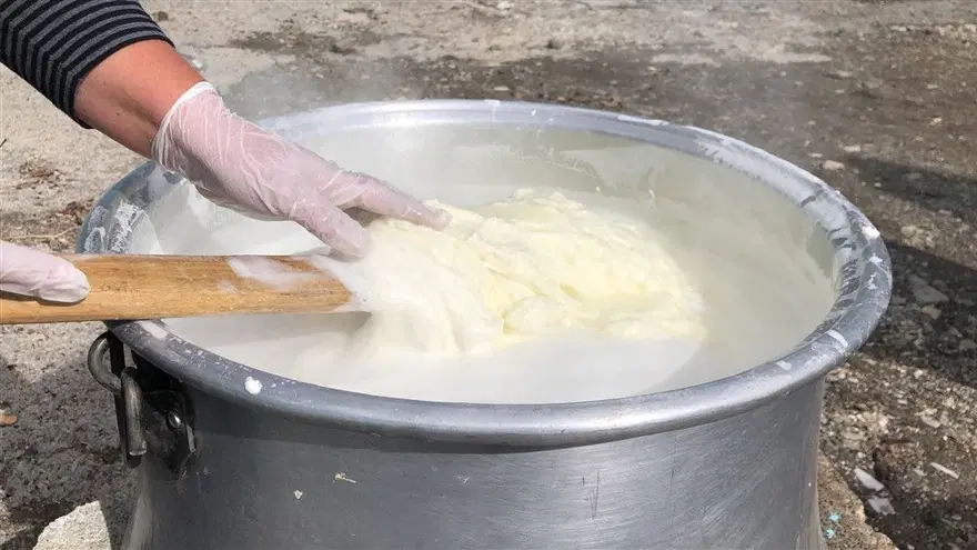 Kars'ta her mevsim kaşar ve tulum peyniri üretimi: Üç gün tuzda kalıyor, iki ay depoda bekliyor 6