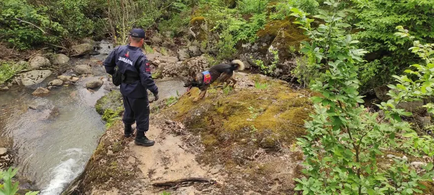 Korhan Berzeg'i arama çalışmalarında yeni bulgu 1 Korhan Berzeg'i arama çalışmalarında yeni bulgu 1
