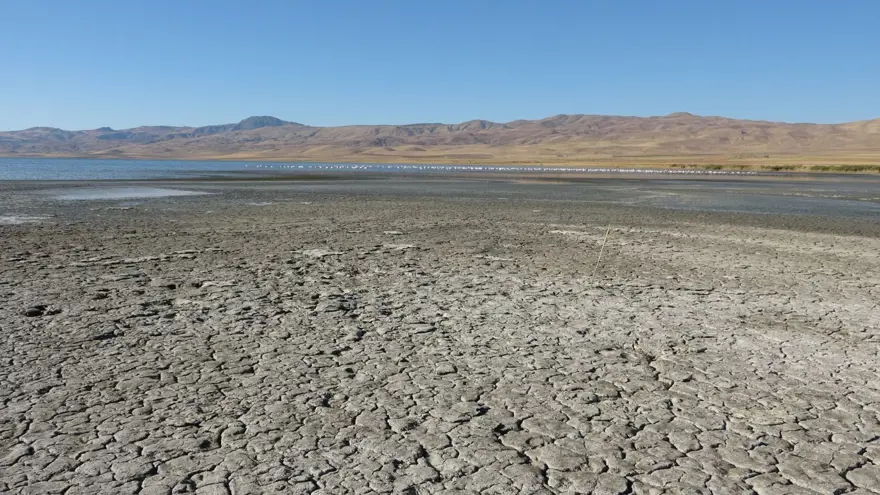 Son 30 yılda büyük çekilme yaşadı: Her geçen yıl biraz daha küçülüyor 3