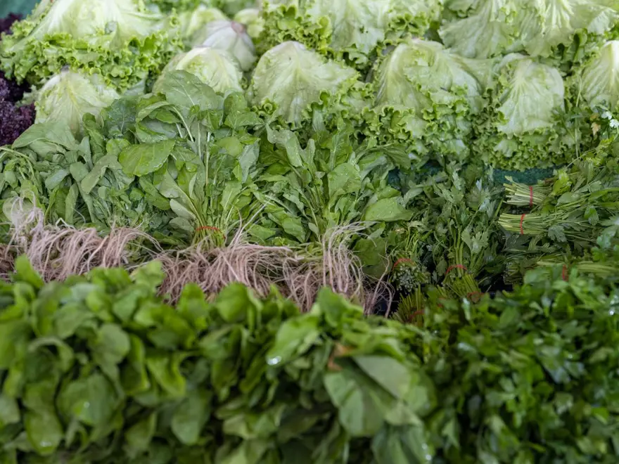 VÜCUT DİRENCİNİ ARTIRIR 3