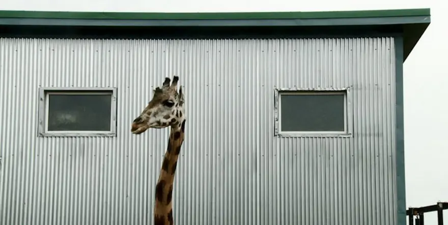 !f'te heyecan verici filmler 53