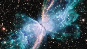 NASA'dan 'Kelebek Nebula' paylaşımı