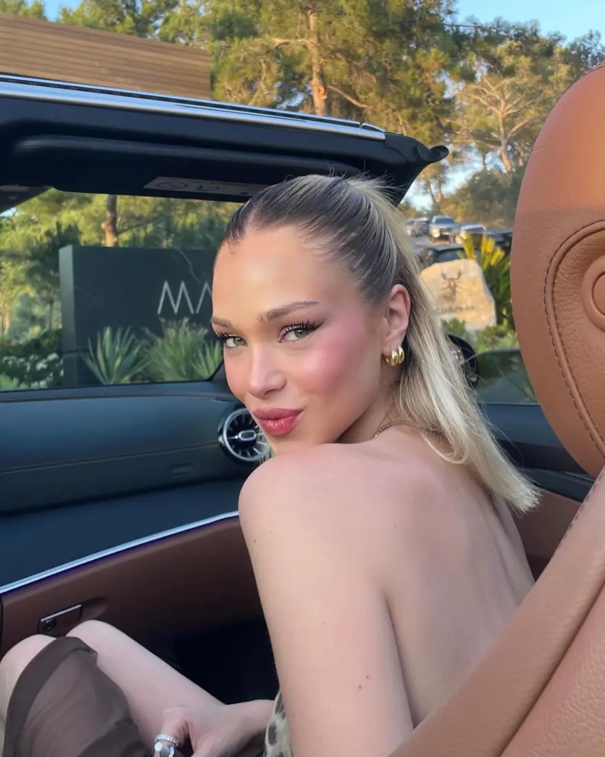 ESTETİK İDDİALARINA YANIT 4 ESTETİK İDDİALARINA YANIT 4