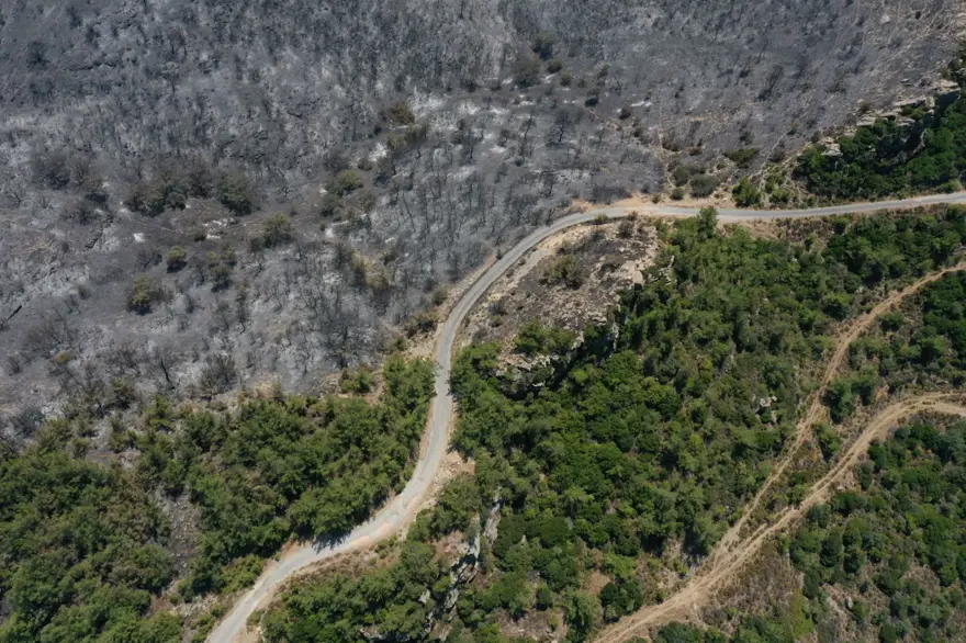 Menderes'teki orman yangınından geriye kalanlar 5