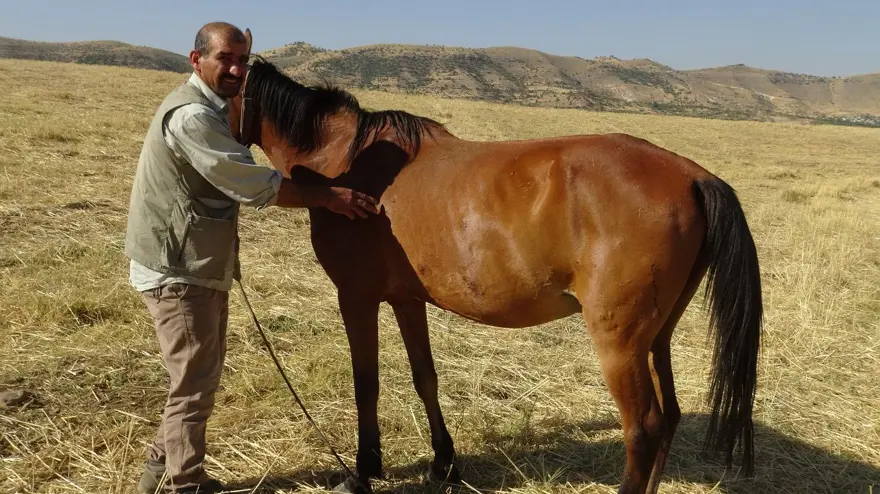 Batman'da ata tüfekli saldırı (Vücudundan 18 saçma çıktı) 1