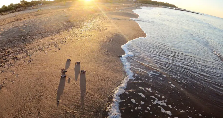 CORONA VİRÜS ONLARA YARADI 2 CORONA VİRÜS ONLARA YARADI 2