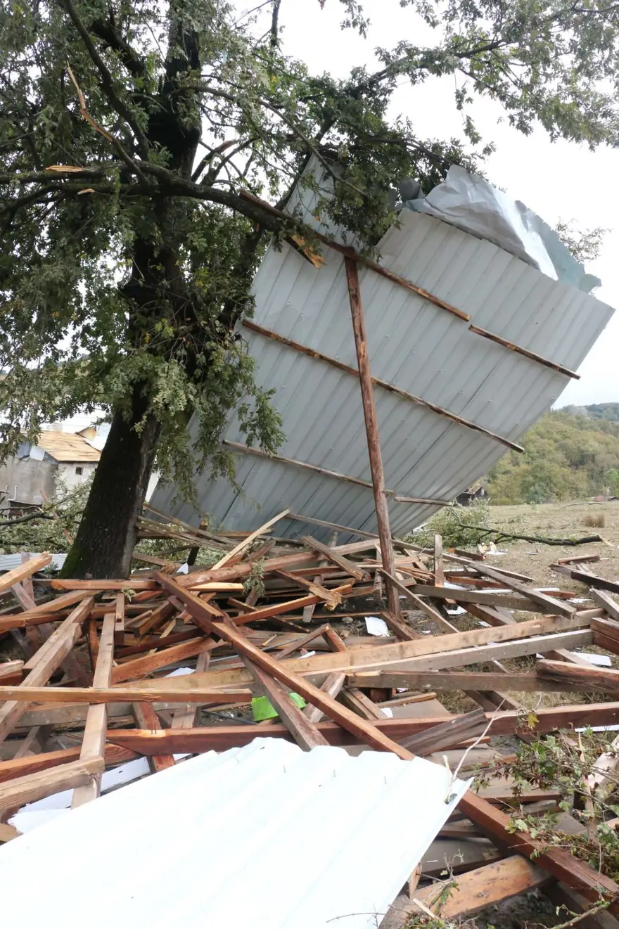 Bolu'da hortum: Ağaçlar devrildi, çatılar uçtu 6