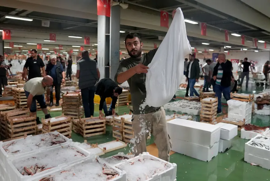 Balıkçıların palamut mutluluğu 5