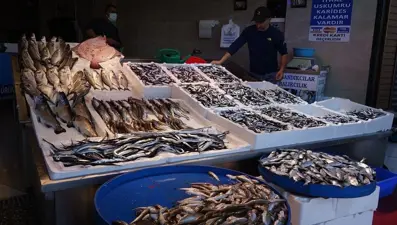 "Karadeniz'de balık stoğu azalıyor"