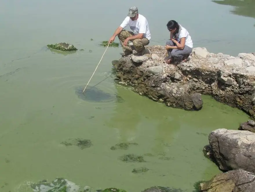 BU SULAR DÖRDÜNCÜ SINIF KALİTE 5