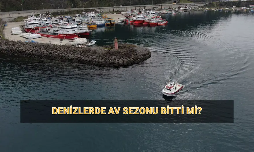 Balıklarda av yasağı tarihleri: Balık avı sezonu bitti mi? 2024-2025 av yasağı başladı mı? 