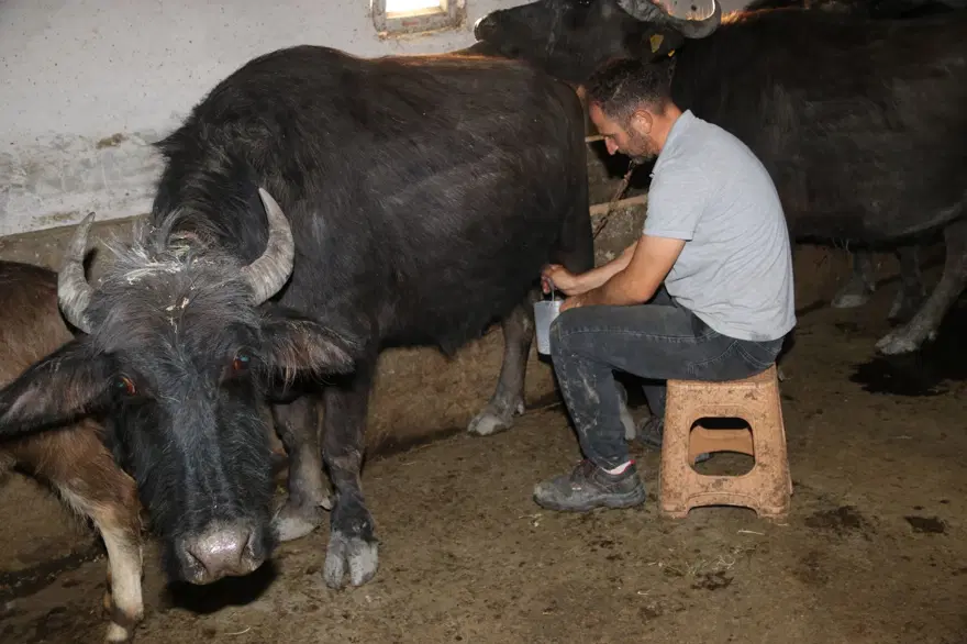 İşinden istifa etti, 3 yıl önce köyüne döndü: Şimdi taleplere yetişemiyor 6