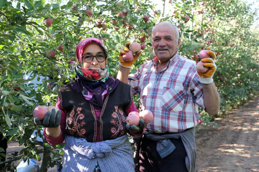 Üretici bu yıl zor sezon geçirdi: Rekolte beklentisi yüzde 40 azaldı 1