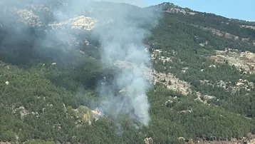 Muğla'da orman yangını