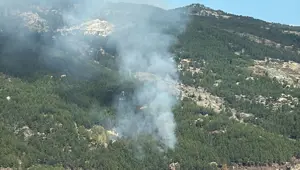 Muğla'da orman yangını