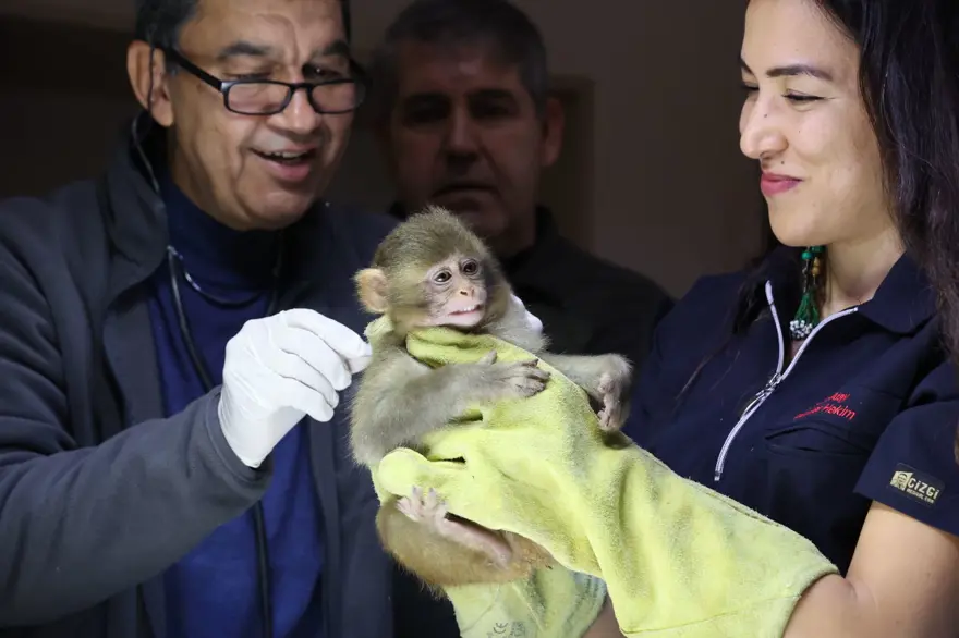 Otobüsü kaçırınca yakalandı: X-Ray'den geçirilen koliden beslenmesi yasak tür çıktı 3