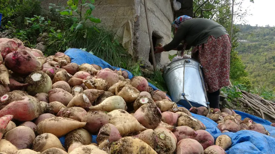 Gelenek devam ediyor: Yazın bolluğunu kışa taşıyorlar 3