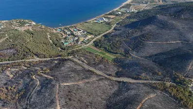 Selçuk’ta başladı, Kuşadası’na sıçradı: Ege’deki yangındafelaketin boyutlarını gözler önüne seren fotoğraflar