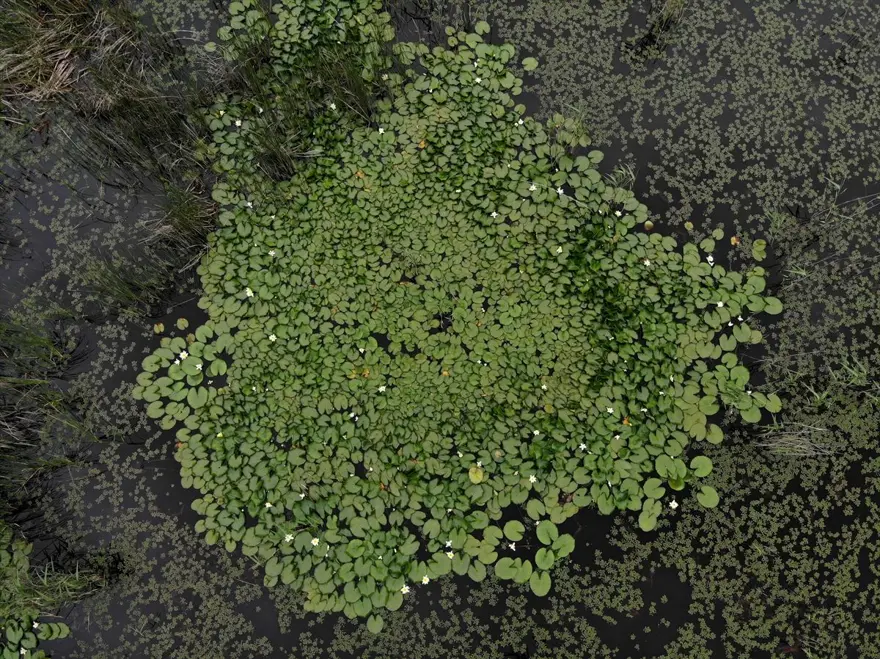 Trakya'nın saklı cenneti 'İğneada' ziyaretçilerini bekliyor: Üstelik İstanbul'a 3 saat uzaklıkta 3
