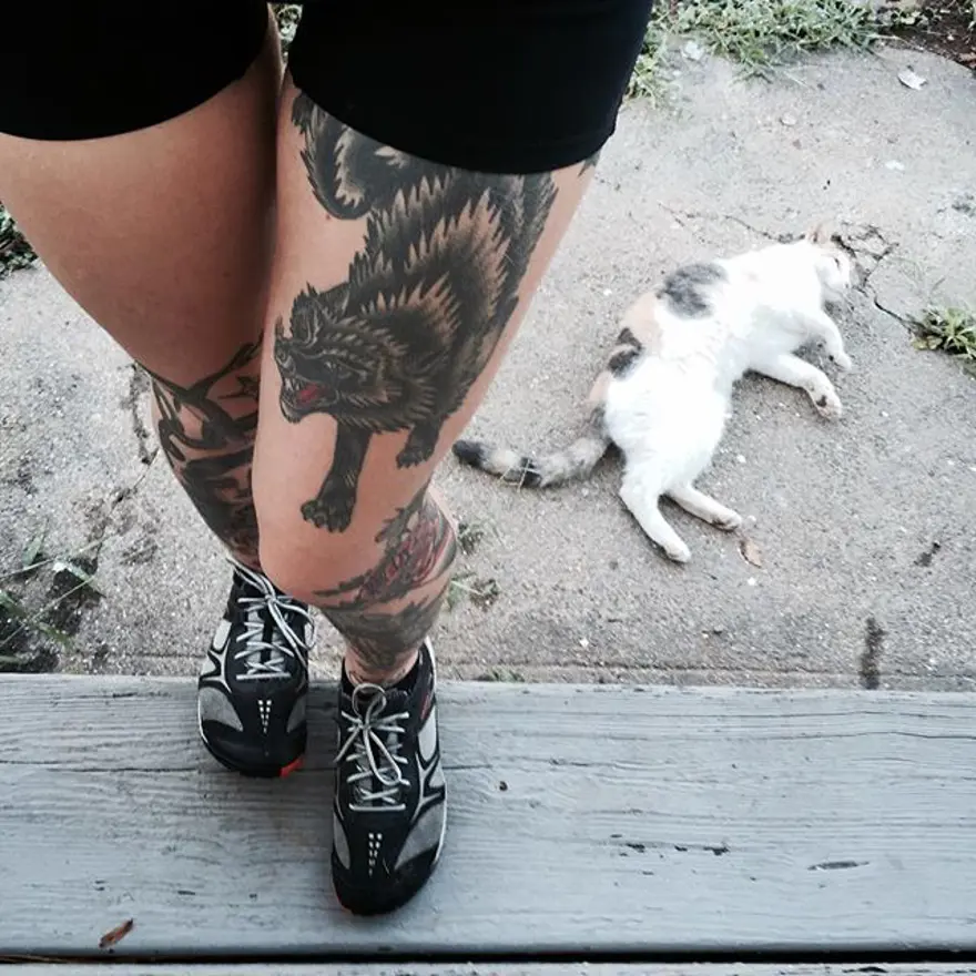 Hayatını kedileri kurtarmaya adadı 290