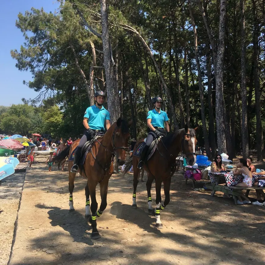 Helikopterler havalandı, komandolar devriye attı: Aydın’da orman yangını alarmı 2