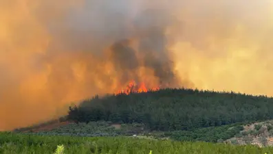 Bursa'da orman yangını: Dumanlar gökyüzünü kapladı