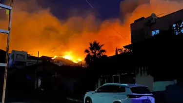 Hatay’daki orman yangınına ilişkin 1 gözaltı