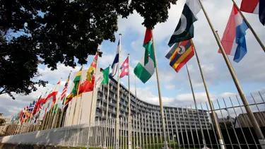 UNESCO, 18 Kasım'ı Uluslararası İslam Sanatları Günü ilan etti